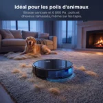 Le Liectroux C7 ramasse les poils de chien sur un tapis